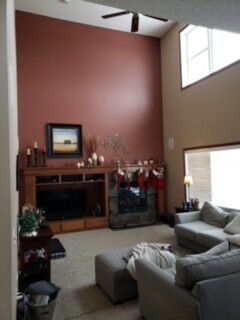 House Painting Services in Brooklyn Park, MN (3)